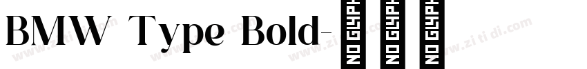 BMW Type Bold字体转换